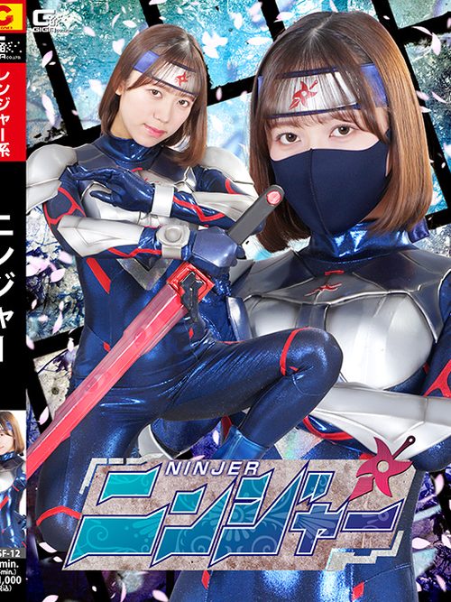 SPSF-12 Ninjer poster